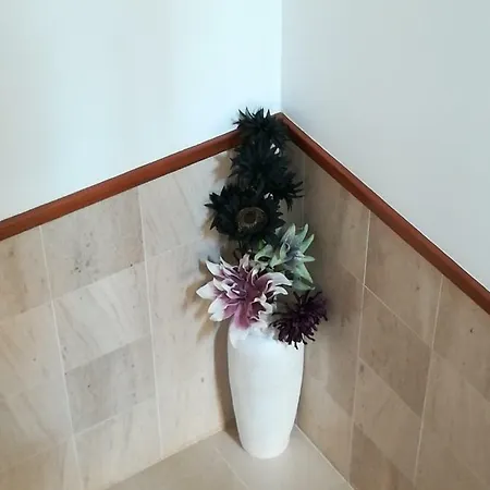 Vina's Place Bed and Breakfast Ναζαρέ