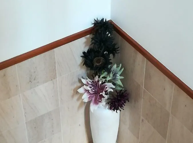 Vina's Place לינה וארוחת בוקר נאזרה